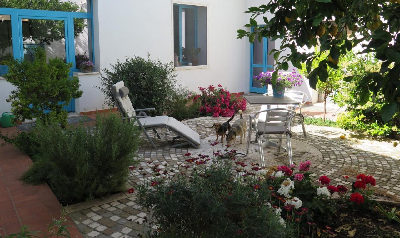 B&B-Le Rondini Monserrato Εξωτερικό φωτογραφία